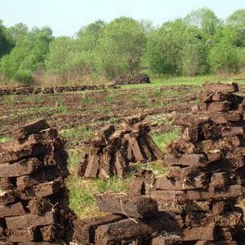 cappabane irish turf peat (14 16 fire logs) (1) cappabane irish turf peat (14 16 fire logs) (1)