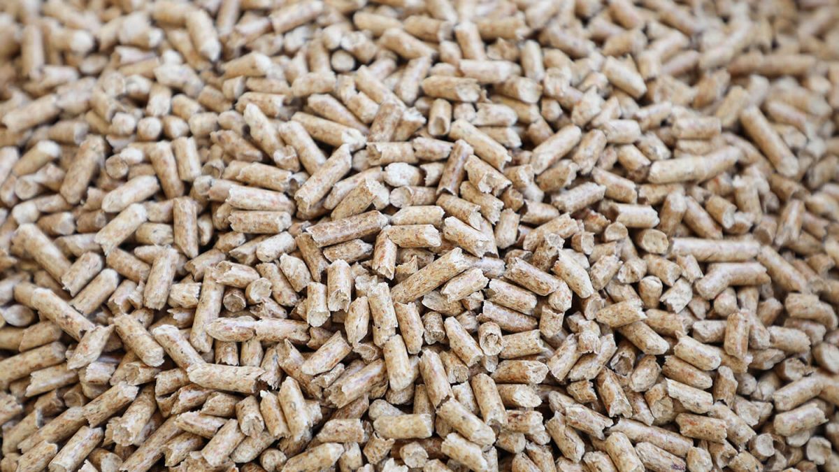 granules