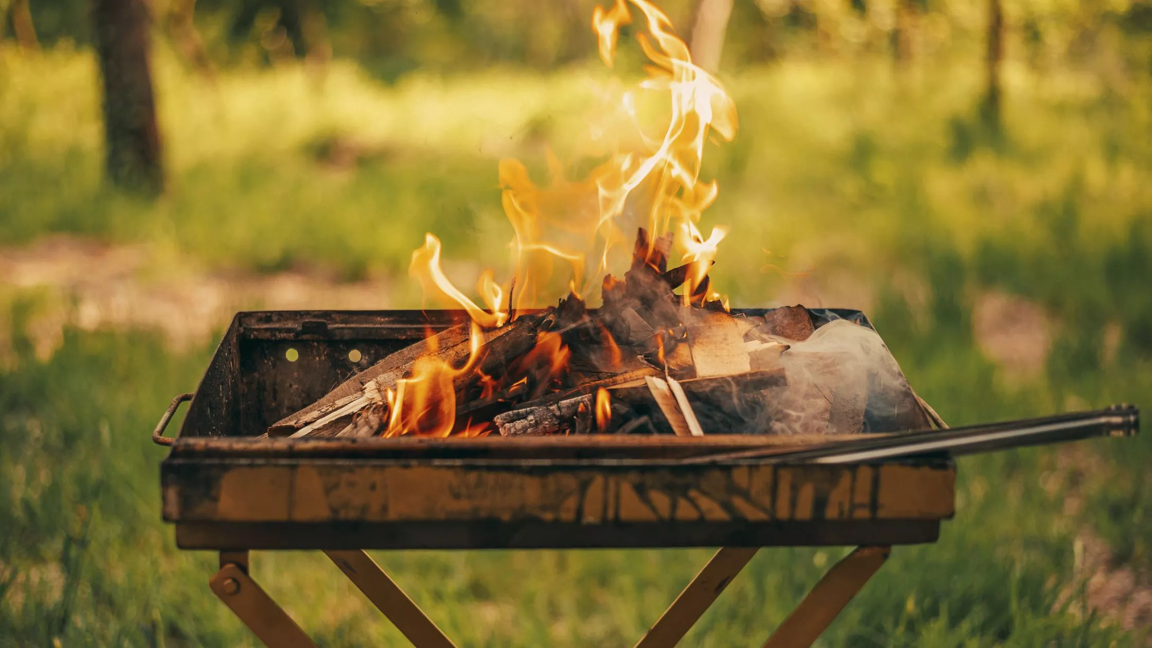 Crafting Captivating Headlines: Your awesome post title goes here quel bois pour la cuisson au barbecue