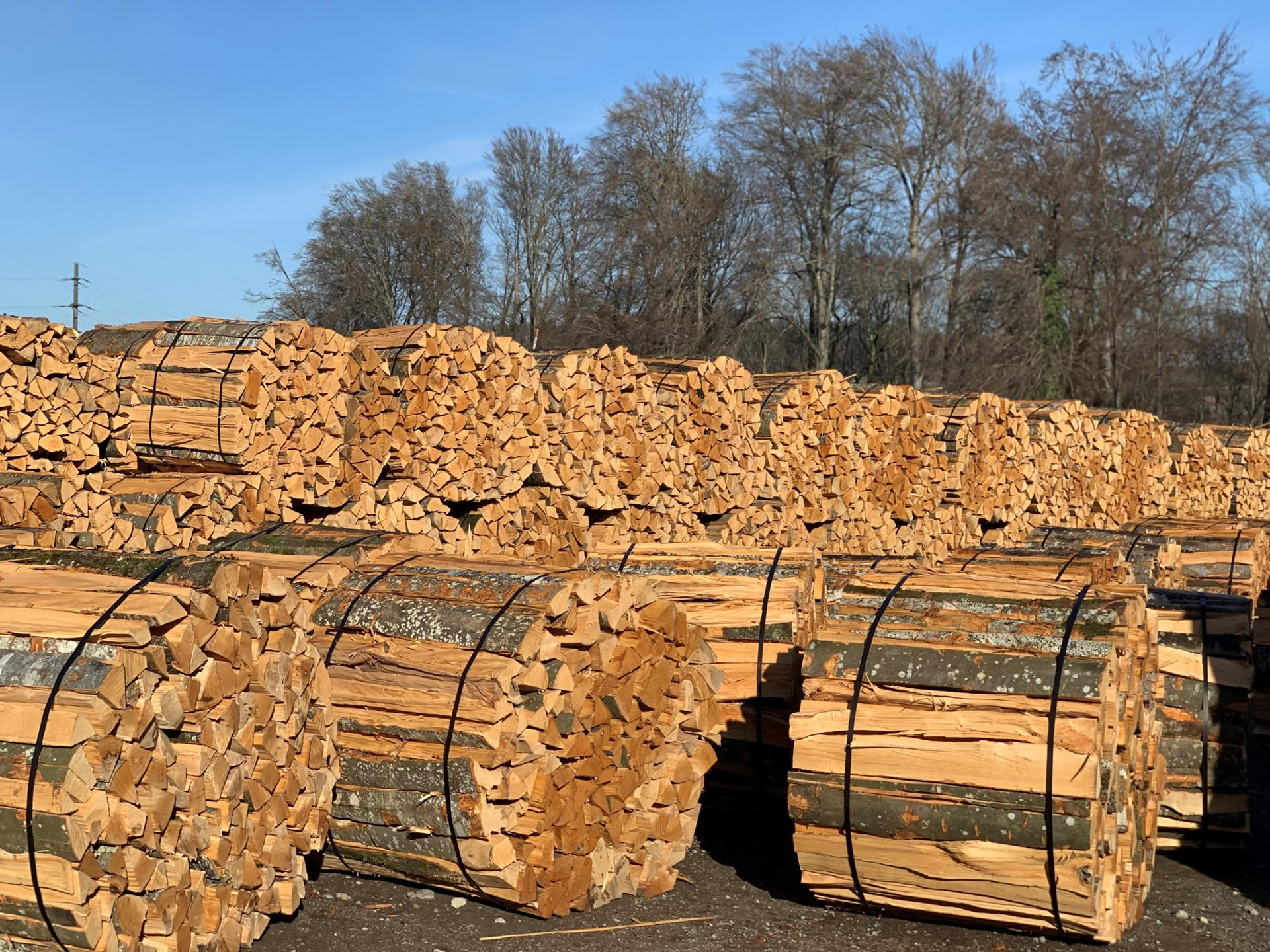 The Art of Drawing Readers In: Your attractive post title goes here lot de bois de feu